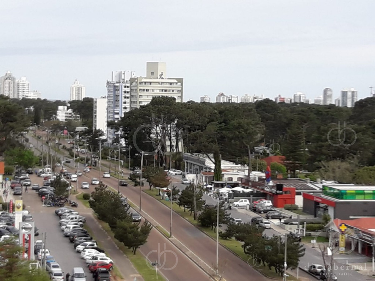 Roosevelt - GoPunta - Portal Inmobiliario de Punta del Este - Maldonado