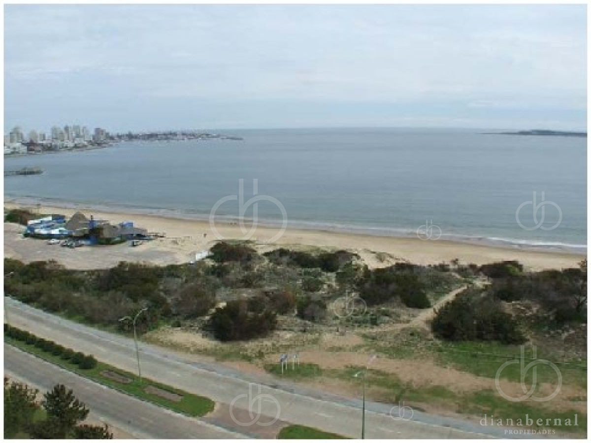 Mansa - GoPunta - Portal Inmobiliario de Punta del Este - Maldonado