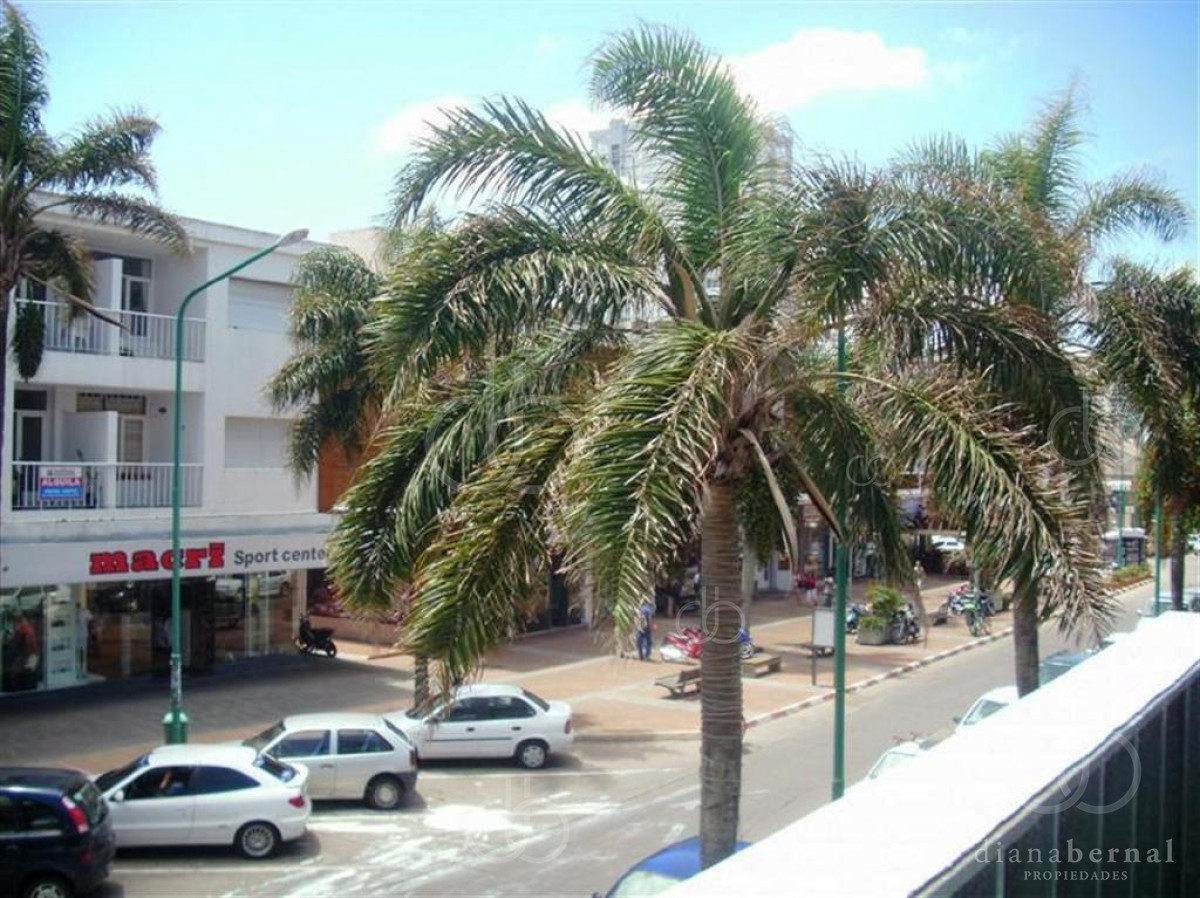 Peninsula - GoPunta - Portal Inmobiliario de Punta del Este - Maldonado