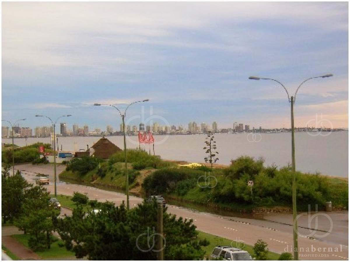 Mansa - GoPunta - Portal Inmobiliario de Punta del Este - Maldonado