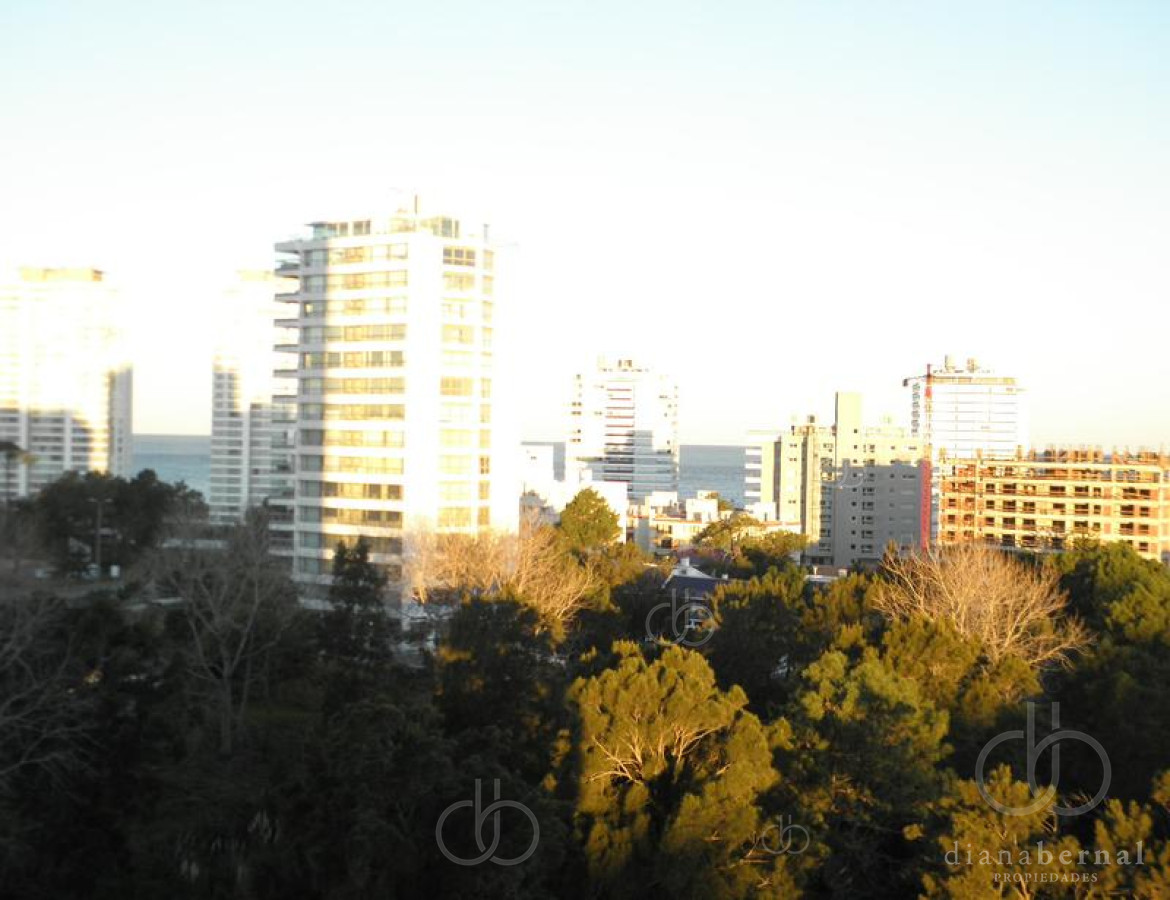 Roosevelt - GoPunta - Portal Inmobiliario de Punta del Este - Maldonado