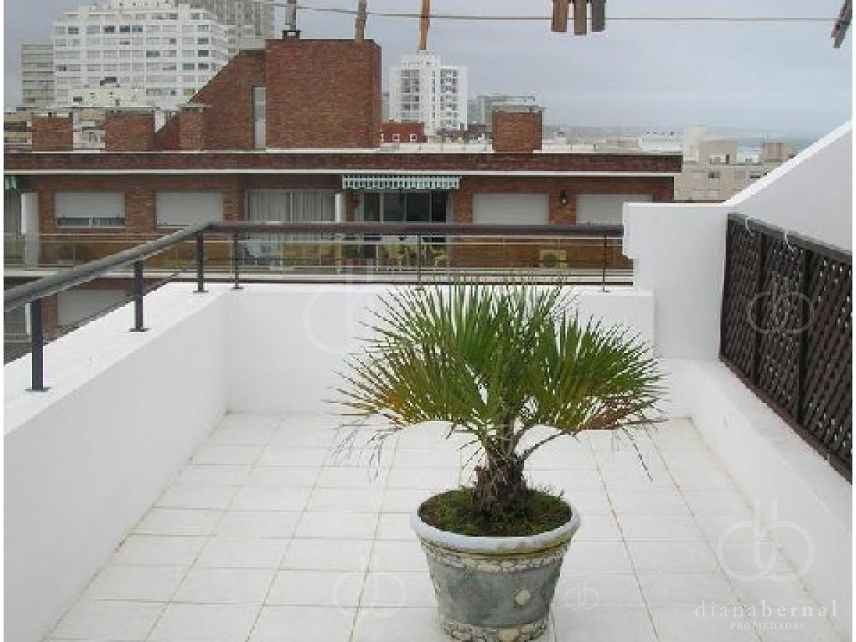 Peninsula - GoPunta - Portal Inmobiliario de Punta del Este - Maldonado