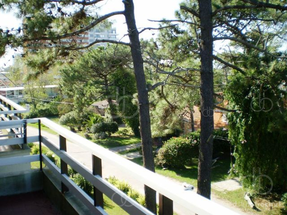 Aidy Grill - GoPunta - Portal Inmobiliario de Punta del Este - Maldonado