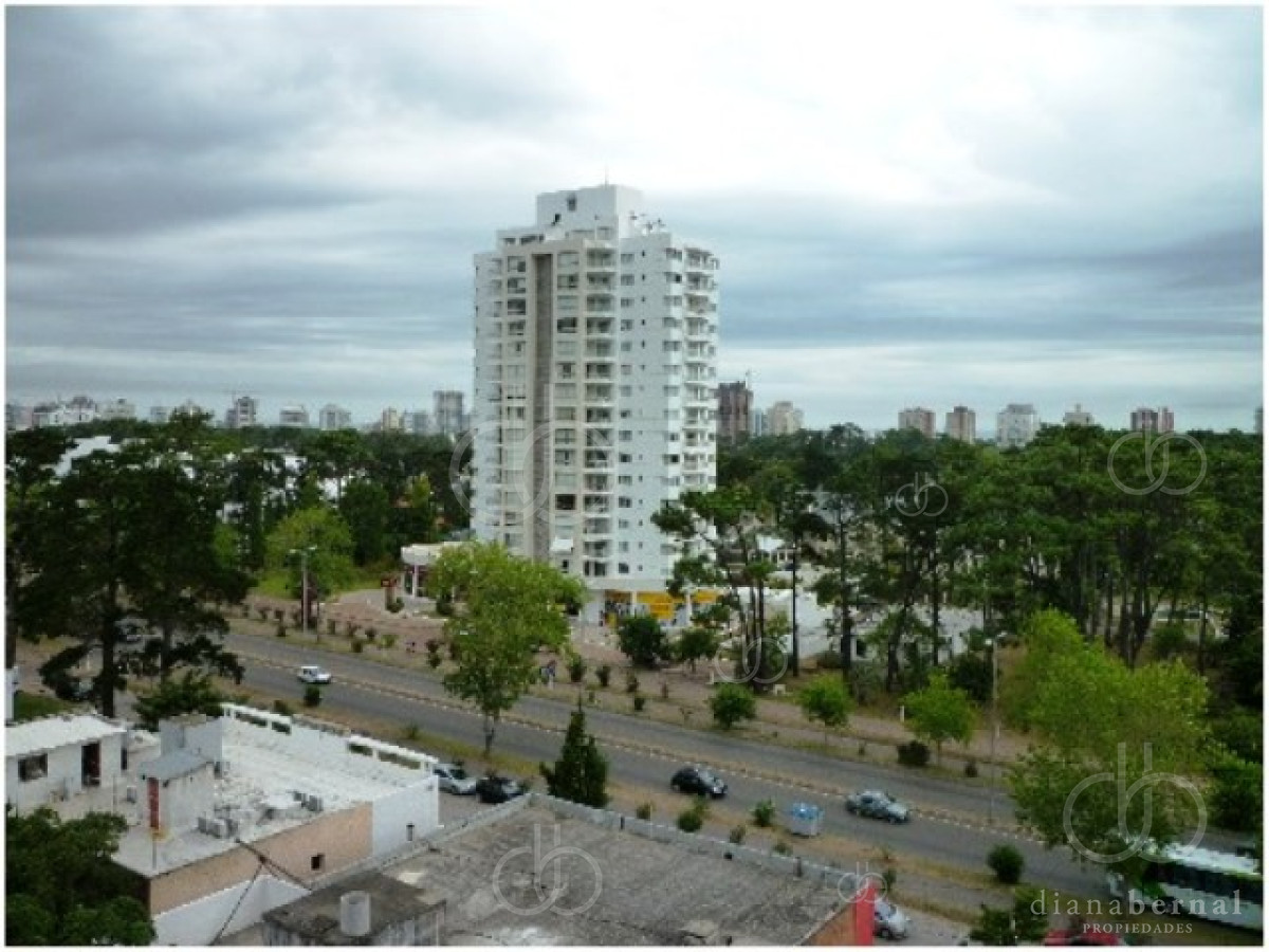 Roosevelt - GoPunta - Portal Inmobiliario de Punta del Este - Maldonado