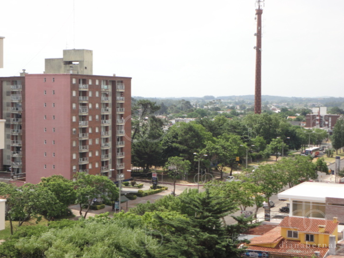 Maldonado - GoPunta - Portal Inmobiliario de Punta del Este - Maldonado