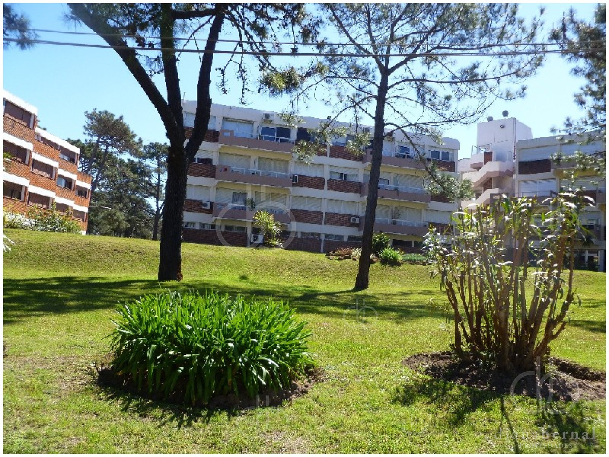 Aidy Grill - GoPunta - Portal Inmobiliario de Punta del Este - Maldonado