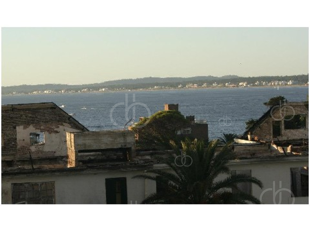 Peninsula - GoPunta - Portal Inmobiliario de Punta del Este - Maldonado