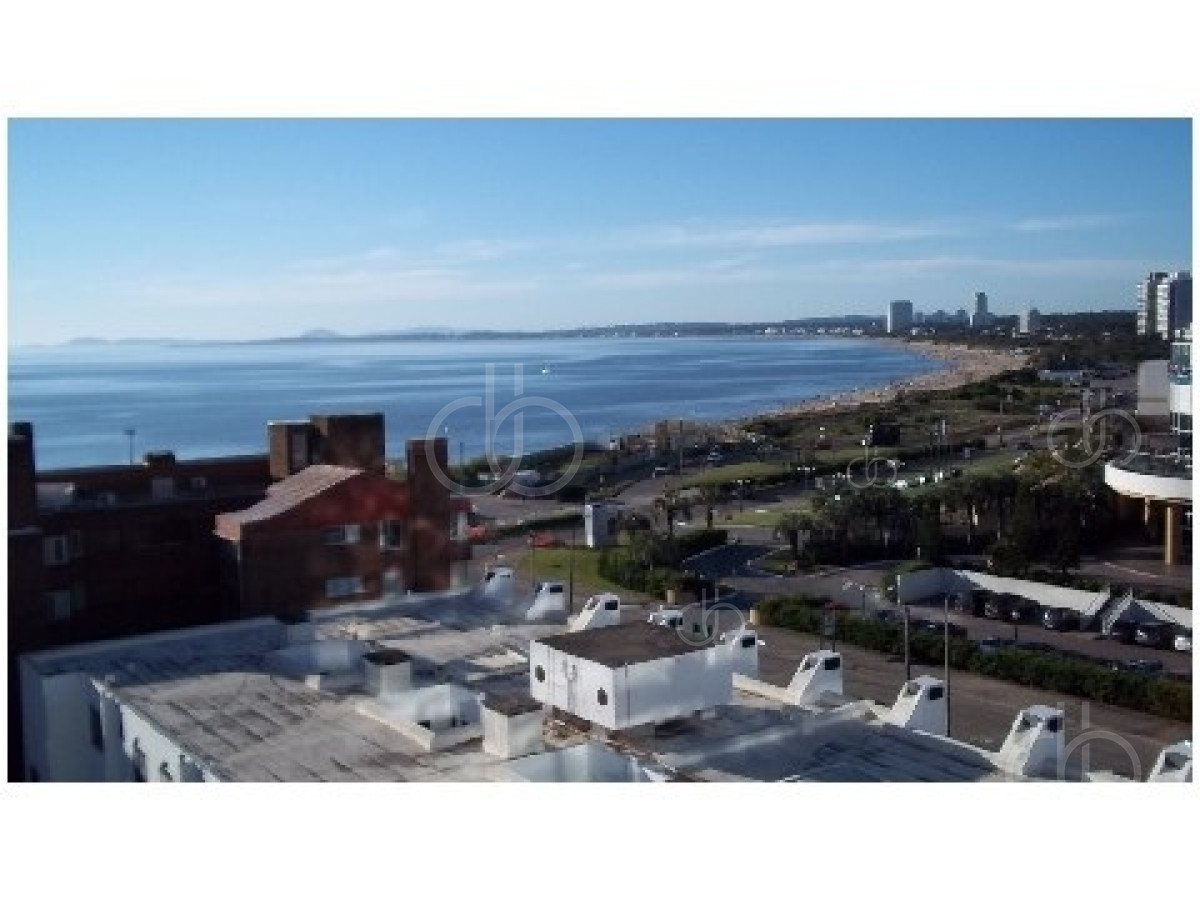 Mansa - GoPunta - Portal Inmobiliario de Punta del Este - Maldonado