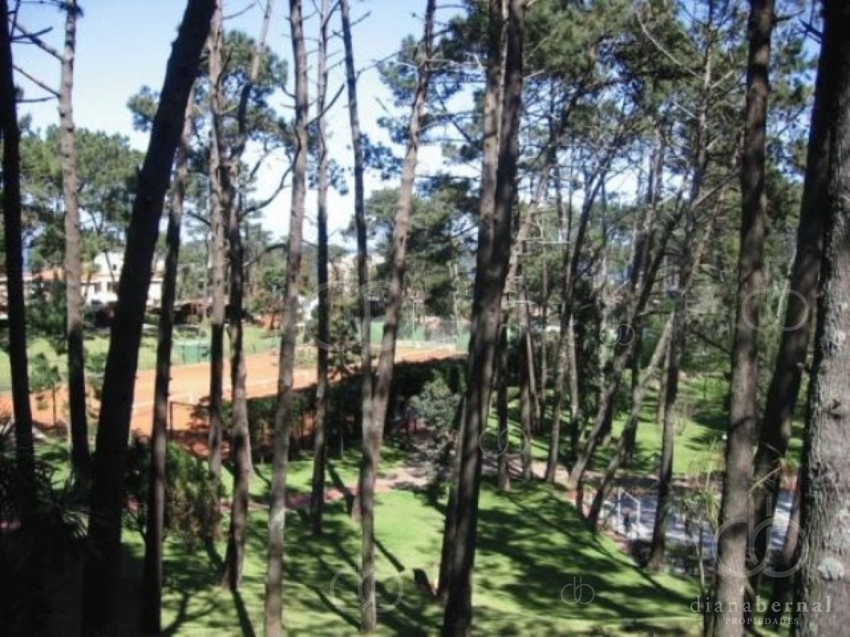 Arcobaleno - GoPunta - Portal Inmobiliario de Punta del Este - Maldonado