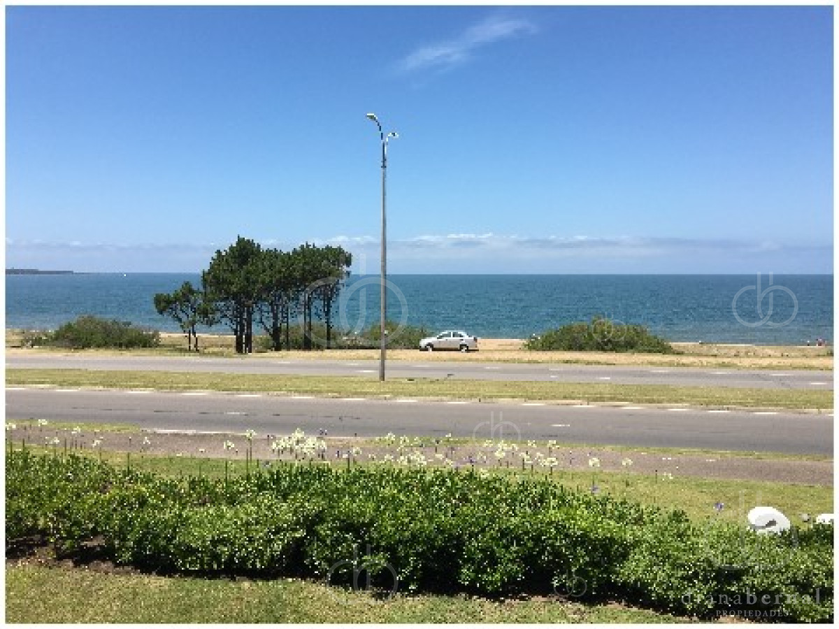 Pinares - GoPunta - Portal Inmobiliario de Punta del Este - Maldonado