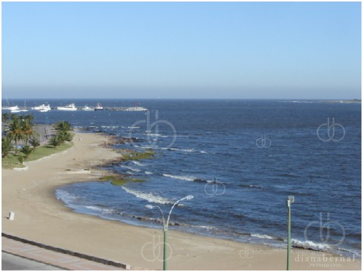 Mansa - GoPunta - Portal Inmobiliario de Punta del Este - Maldonado