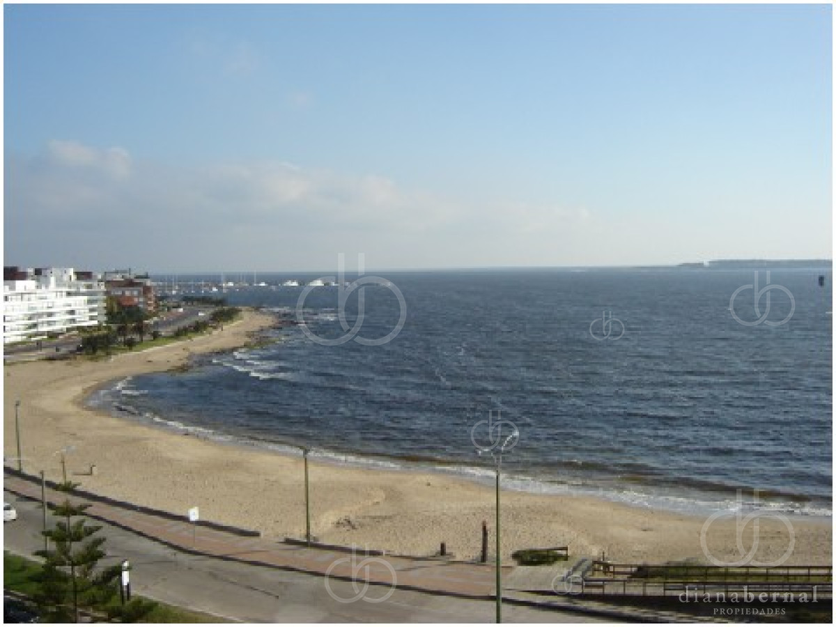 Mansa - GoPunta - Portal Inmobiliario de Punta del Este - Maldonado