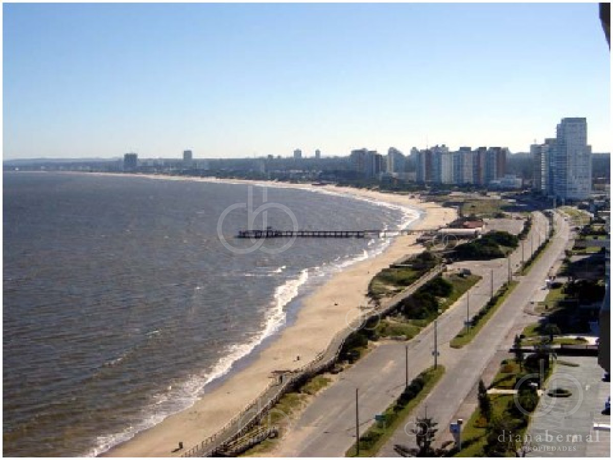 Mansa - GoPunta - Portal Inmobiliario de Punta del Este - Maldonado