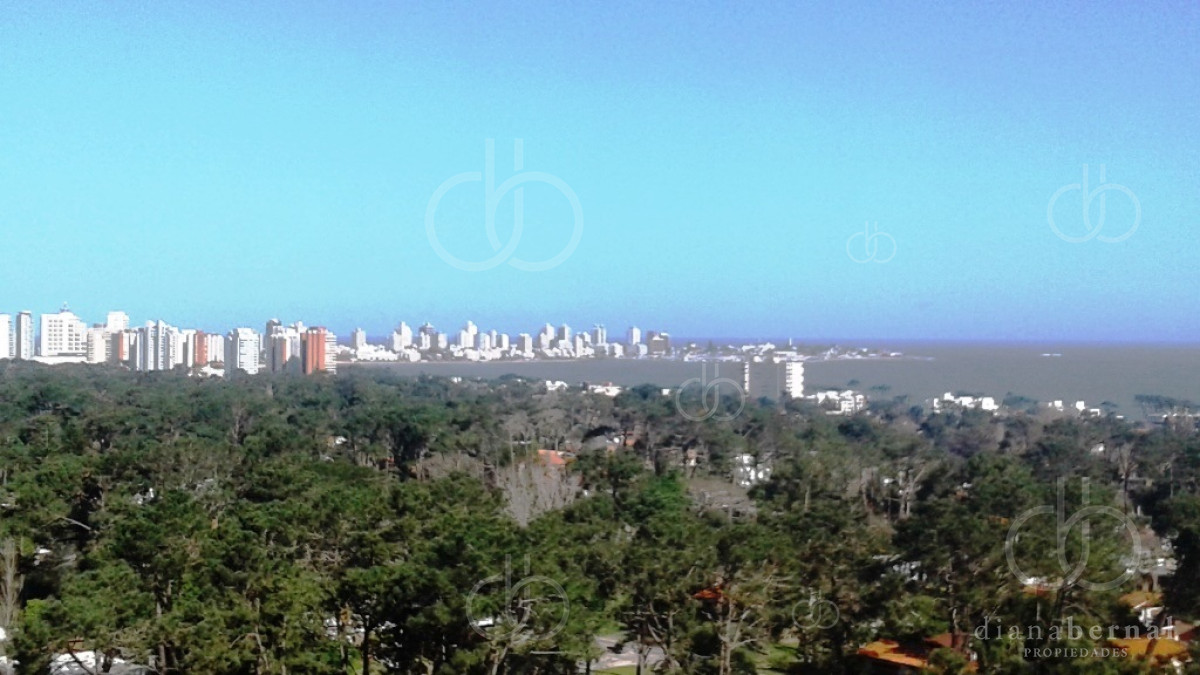 Roosevelt - GoPunta - Portal Inmobiliario de Punta del Este - Maldonado