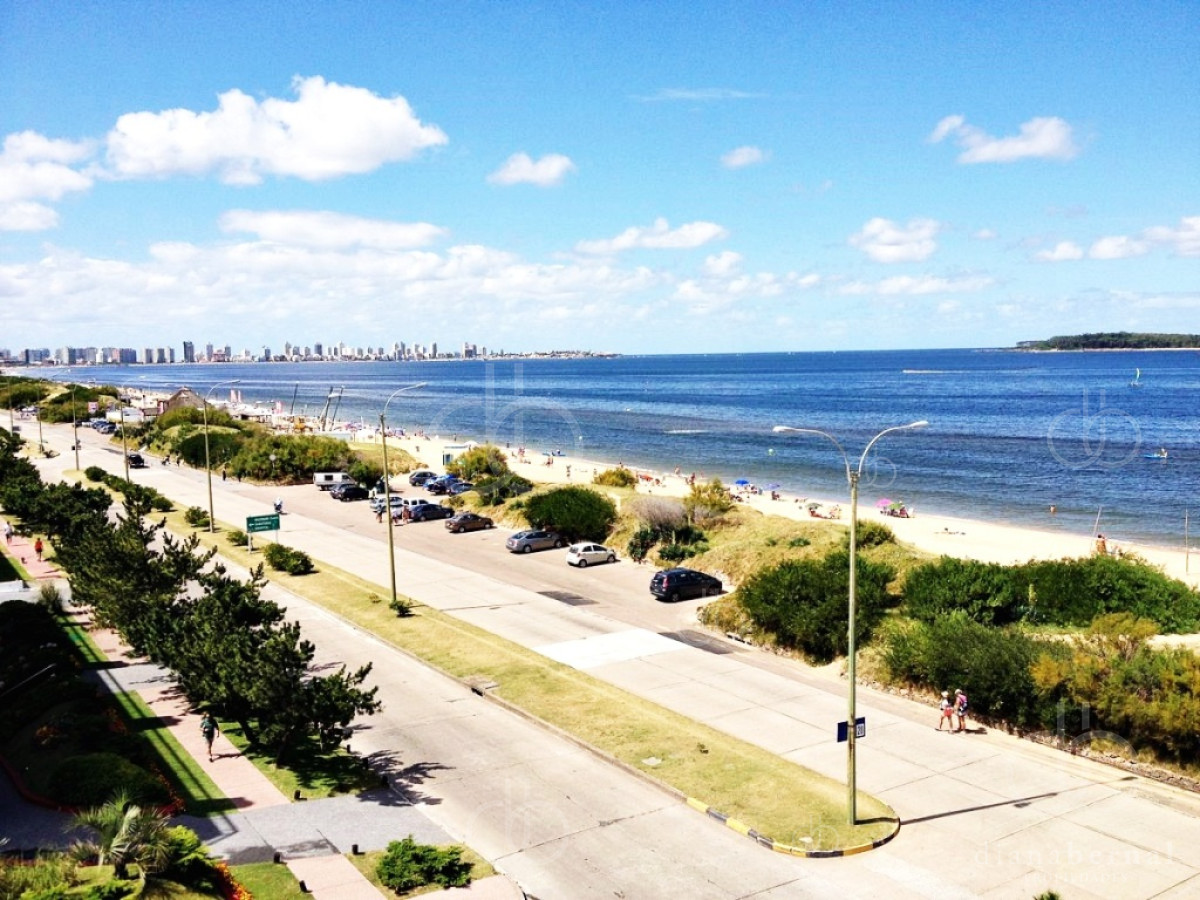 Mansa - GoPunta - Portal Inmobiliario de Punta del Este - Maldonado