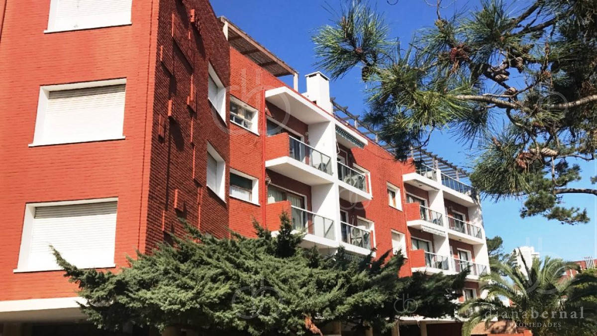 Aidy Grill - GoPunta - Portal Inmobiliario de Punta del Este - Maldonado