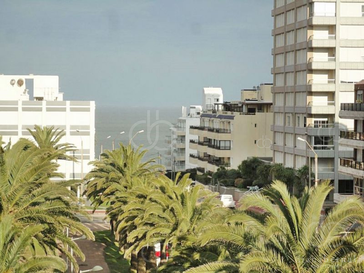 Peninsula - GoPunta - Portal Inmobiliario de Punta del Este - Maldonado