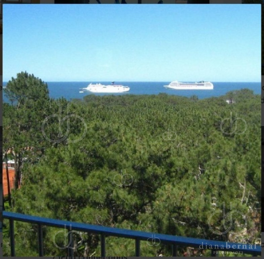 Arcobaleno - GoPunta - Portal Inmobiliario de Punta del Este - Maldonado