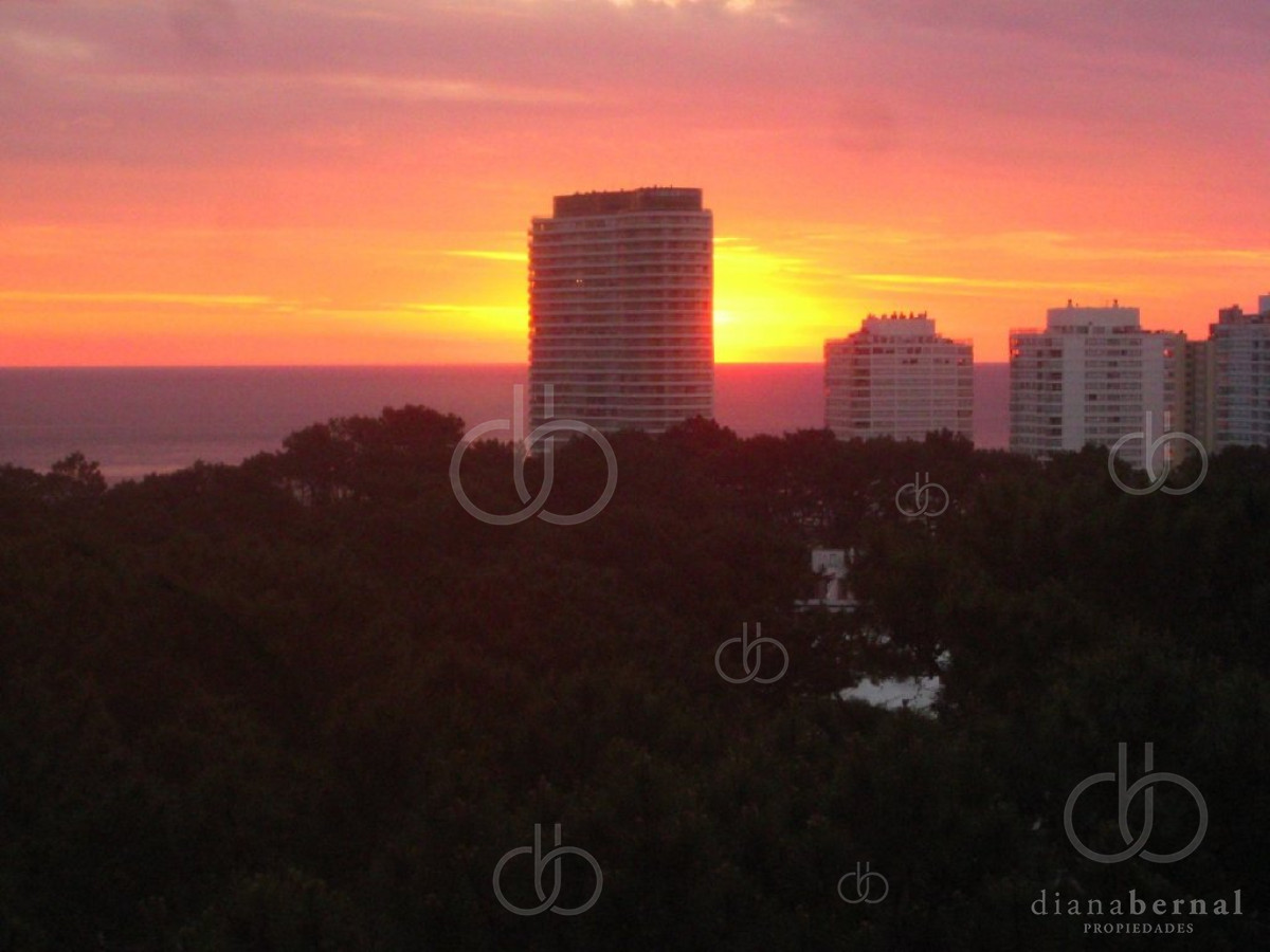 Arcobaleno - GoPunta - Portal Inmobiliario de Punta del Este - Maldonado