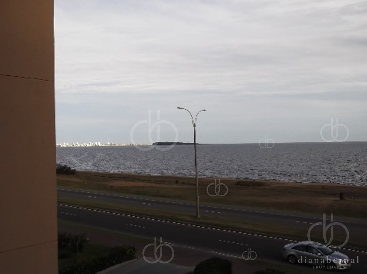 Propiedad - GoPunta - Portal Inmobiliario de Punta del Este - Maldonado