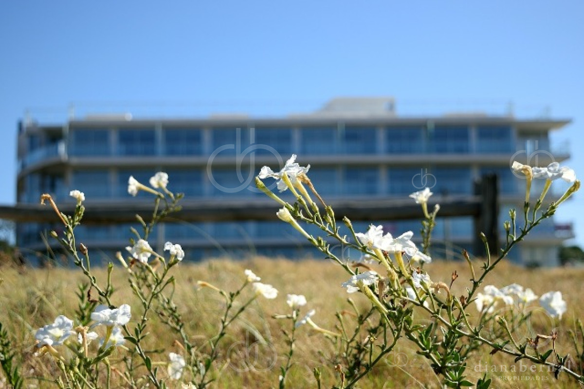 Propiedad - GoPunta - Portal Inmobiliario de Punta del Este - Maldonado