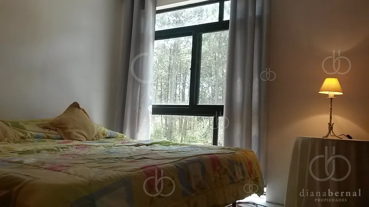 Chihuahua - GoPunta - Portal Inmobiliario de Punta del Este - Maldonado