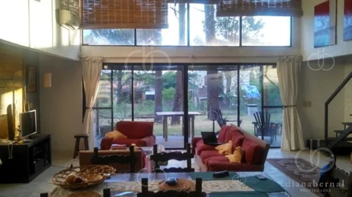 punta del este, chihuahua - dbp55035c