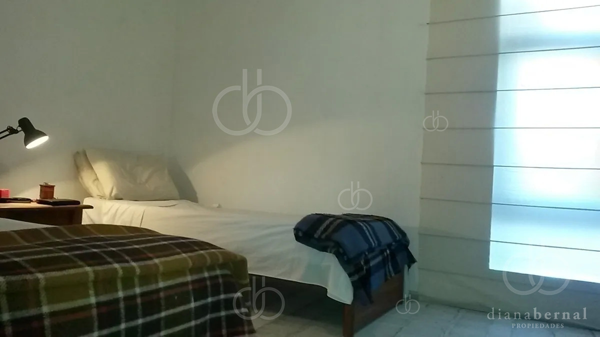 Chihuahua - GoPunta - Portal Inmobiliario de Punta del Este - Maldonado