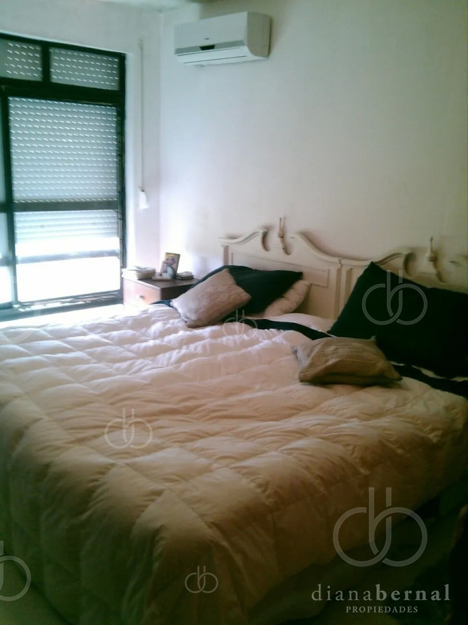 Chihuahua - GoPunta - Portal Inmobiliario de Punta del Este - Maldonado