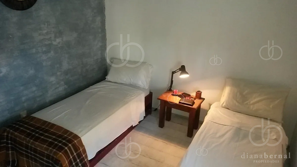 Chihuahua - GoPunta - Portal Inmobiliario de Punta del Este - Maldonado