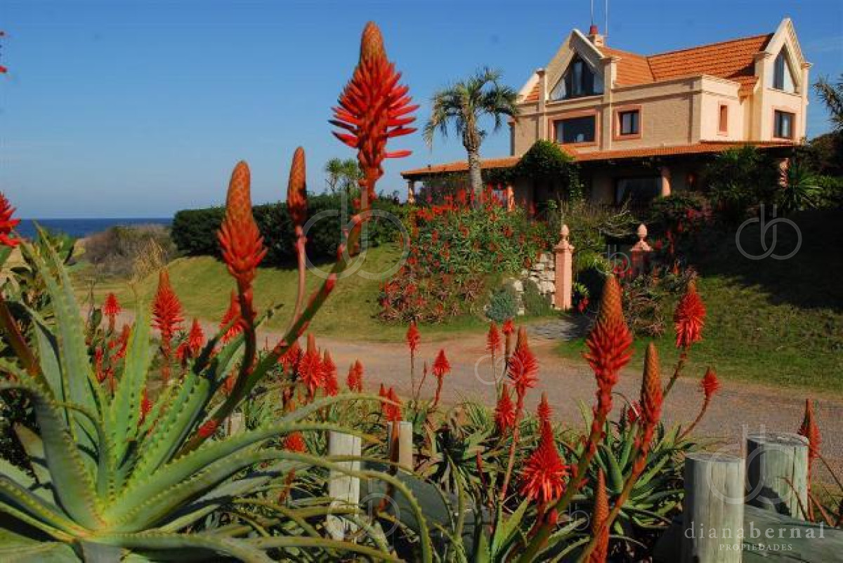 Punta Ballena - GoPunta - Portal Inmobiliario de Punta del Este - Maldonado