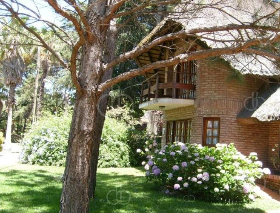 Cantegril - GoPunta - Portal Inmobiliario de Punta del Este - Maldonado