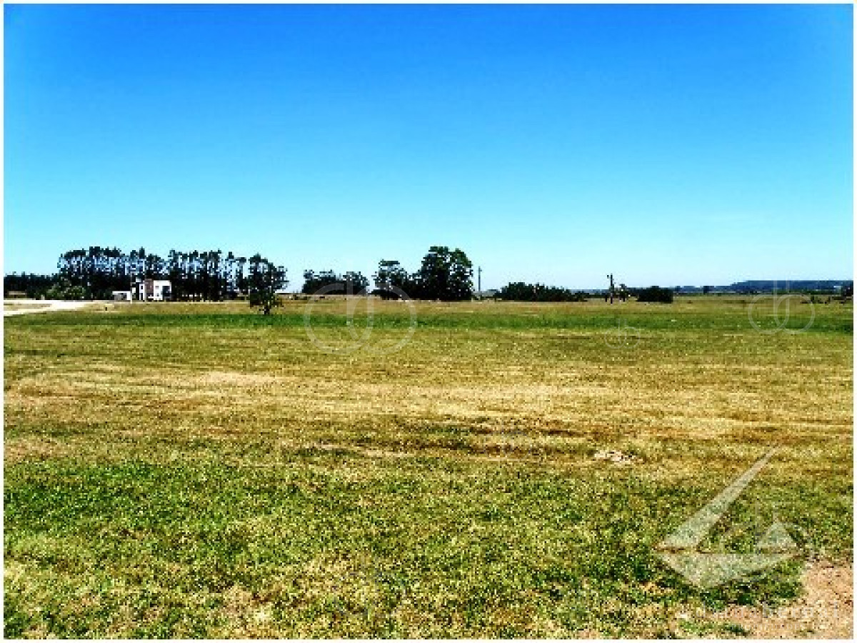 La Barra - GoPunta - Portal Inmobiliario de Punta del Este - Maldonado