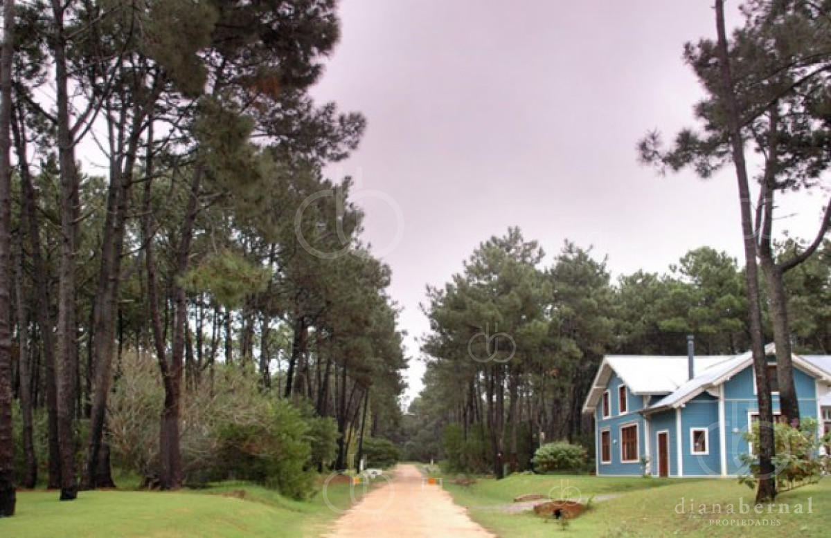 Manantiales - GoPunta - Portal Inmobiliario de Punta del Este - Maldonado