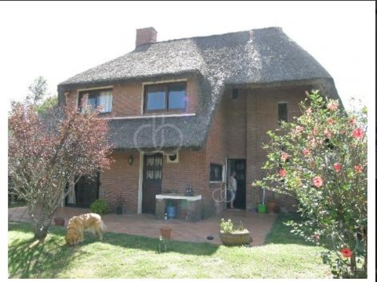 Pinares - GoPunta - Portal Inmobiliario de Punta del Este - Maldonado