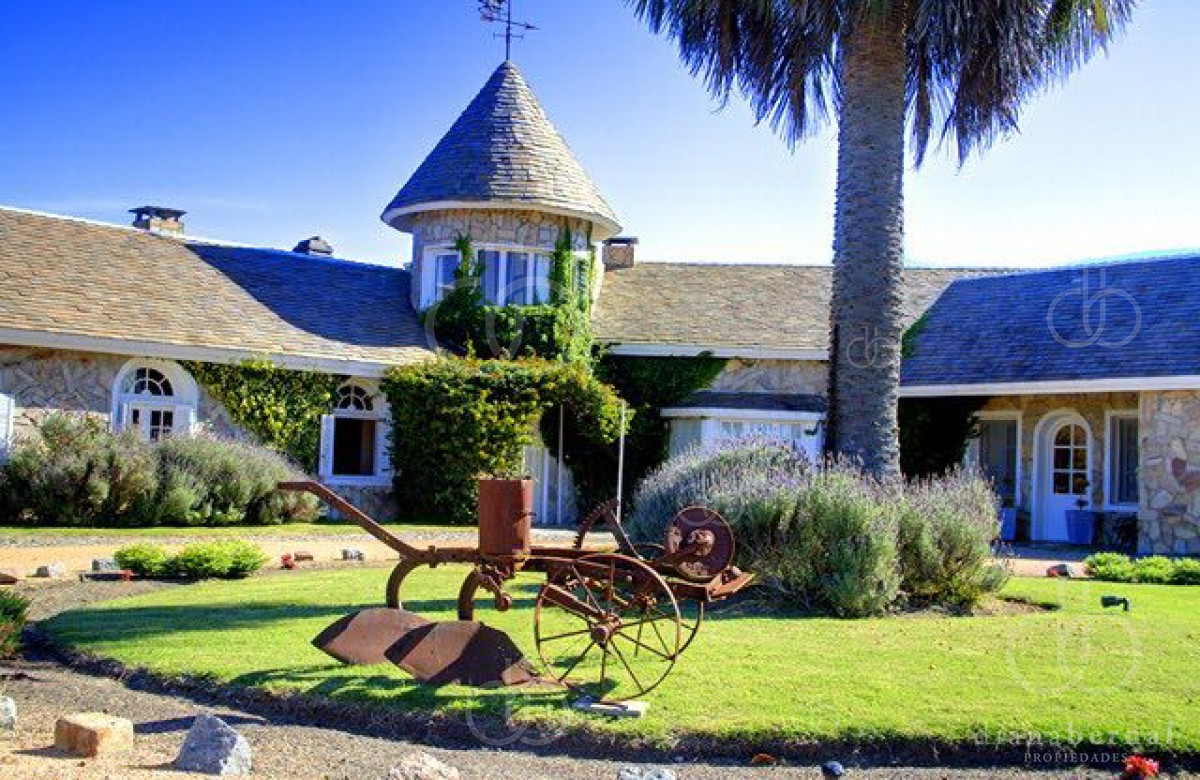 San Carlos - GoPunta - Portal Inmobiliario de Punta del Este - Maldonado