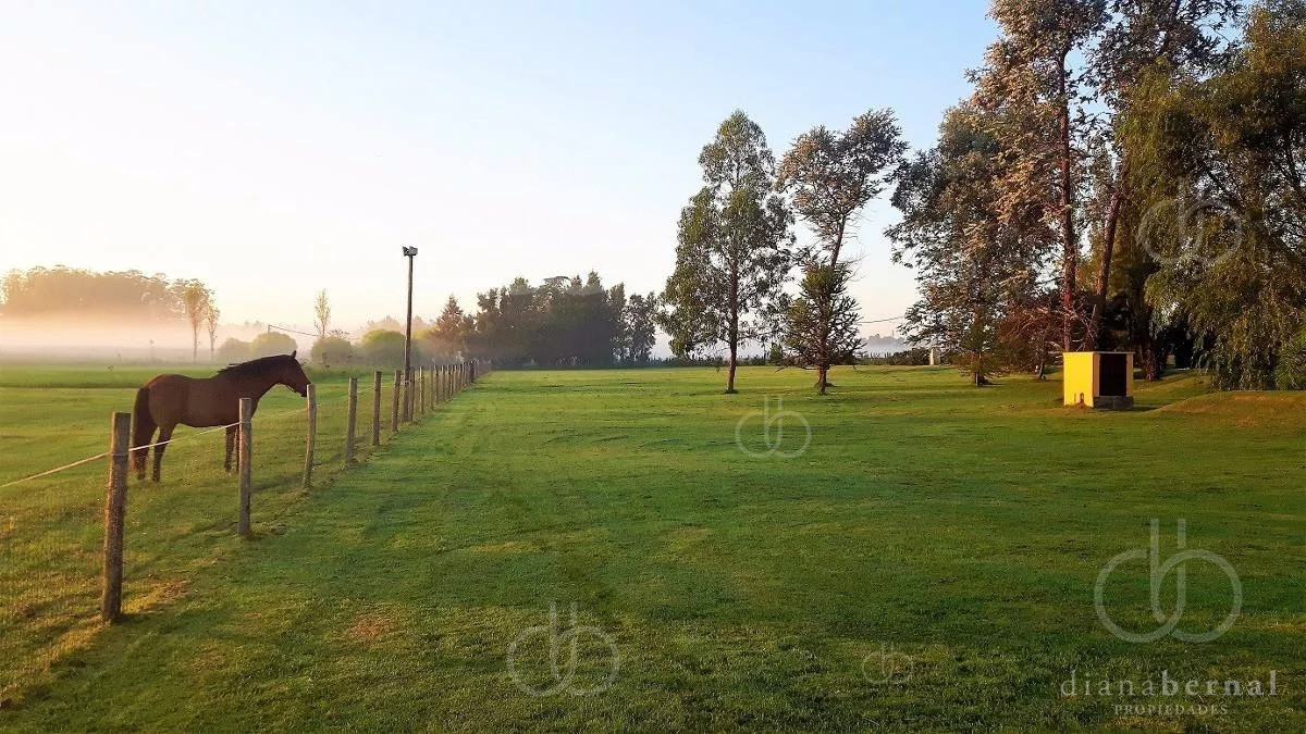 Sin Clasificar - GoPunta - Portal Inmobiliario de Punta del Este - Maldonado