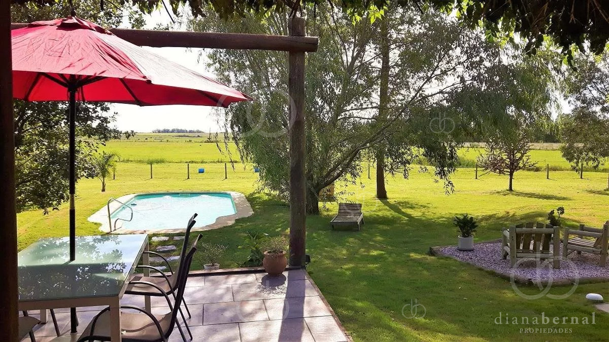Sin Clasificar - GoPunta - Portal Inmobiliario de Punta del Este - Maldonado