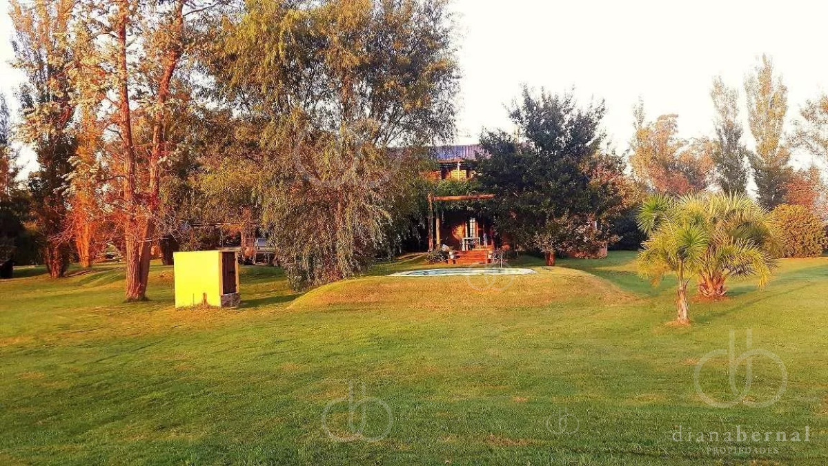 Sin Clasificar - GoPunta - Portal Inmobiliario de Punta del Este - Maldonado