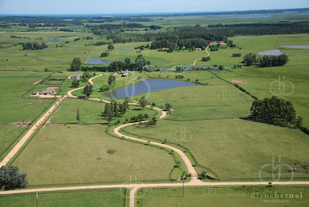 San Carlos - GoPunta - Portal Inmobiliario de Punta del Este - Maldonado
