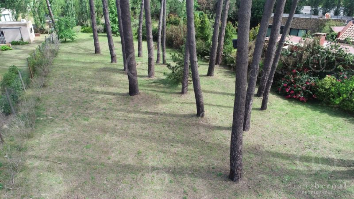 Golf - GoPunta - Portal Inmobiliario de Punta del Este - Maldonado
