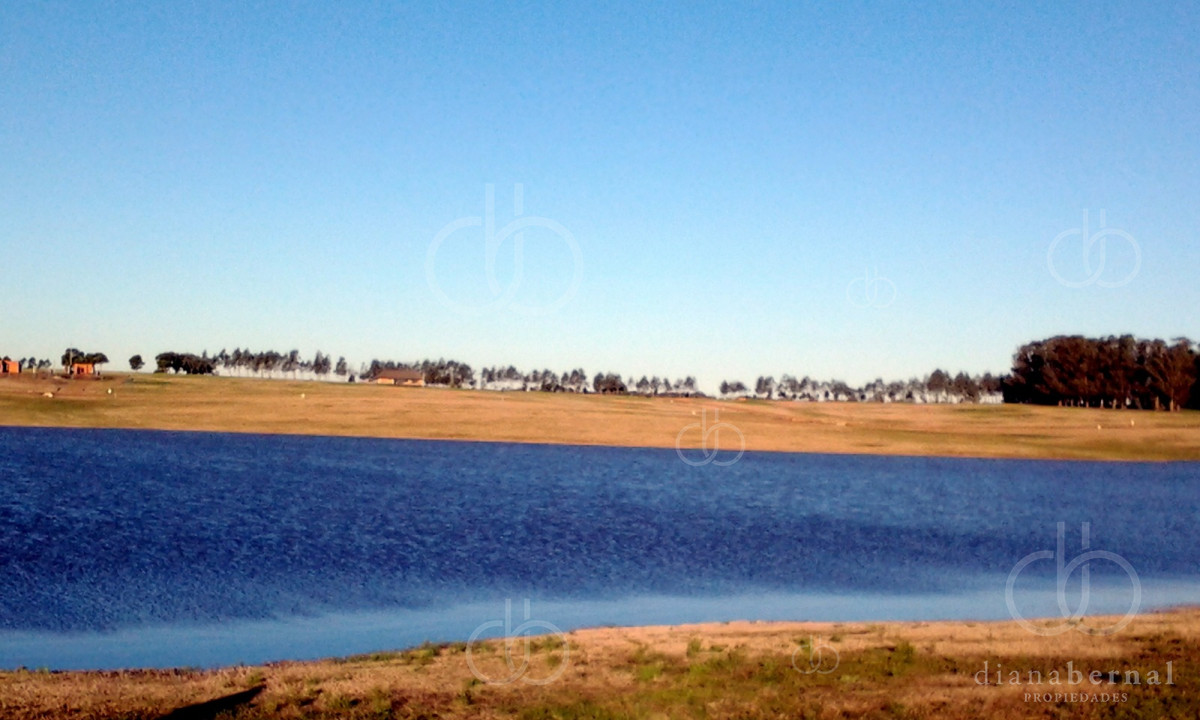 Laguna de los Cisnes - GoPunta - Portal Inmobiliario de Punta del Este - Maldonado
