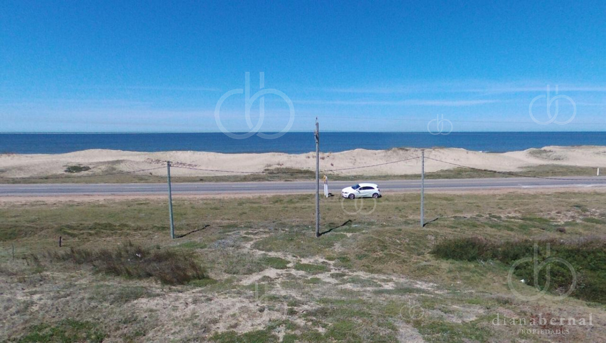 Santa Monica - GoPunta - Portal Inmobiliario de Punta del Este - Maldonado