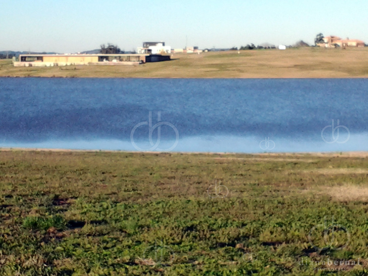 Laguna de los Cisnes - GoPunta - Portal Inmobiliario de Punta del Este - Maldonado