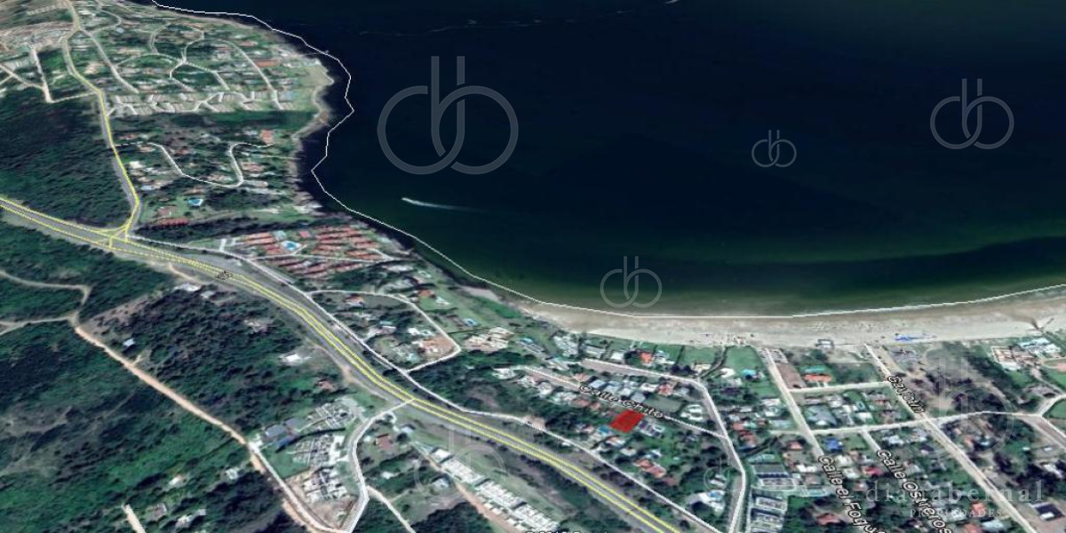 Punta Ballena - GoPunta - Portal Inmobiliario de Punta del Este - Maldonado