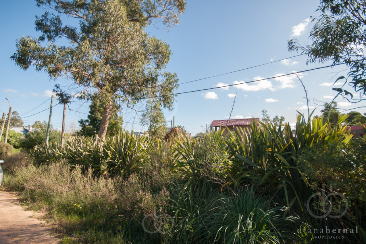 El Tesoro - GoPunta - Portal Inmobiliario de Punta del Este - Maldonado