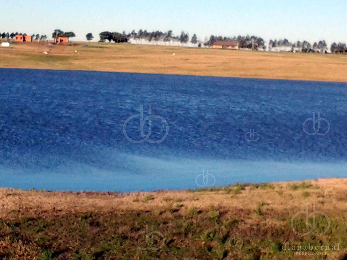 Laguna de los Cisnes - GoPunta - Portal Inmobiliario de Punta del Este - Maldonado