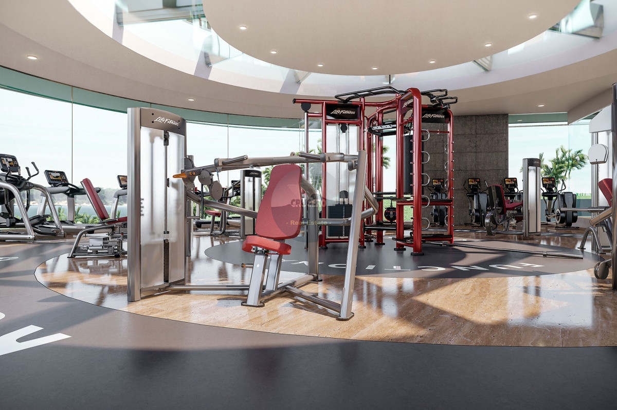 GIMNASIO