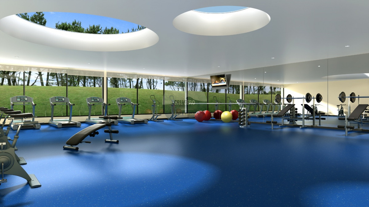 GIMNASIO