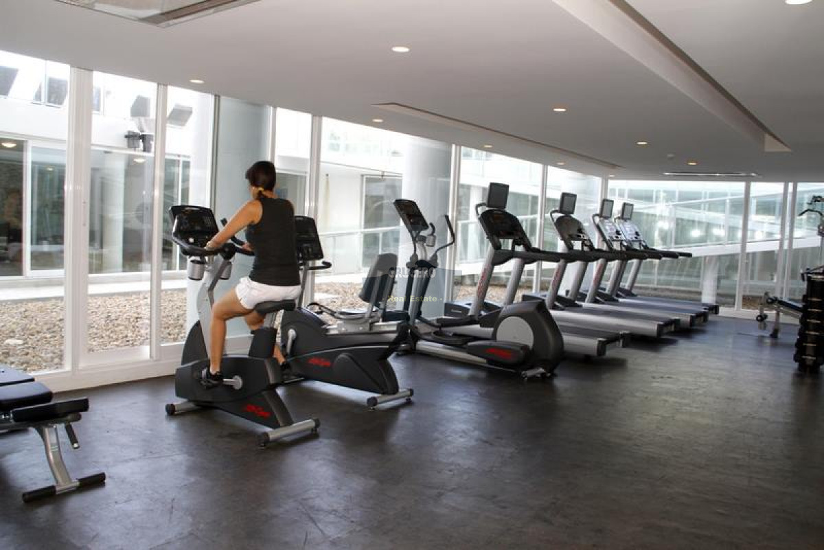 GIMNASIO